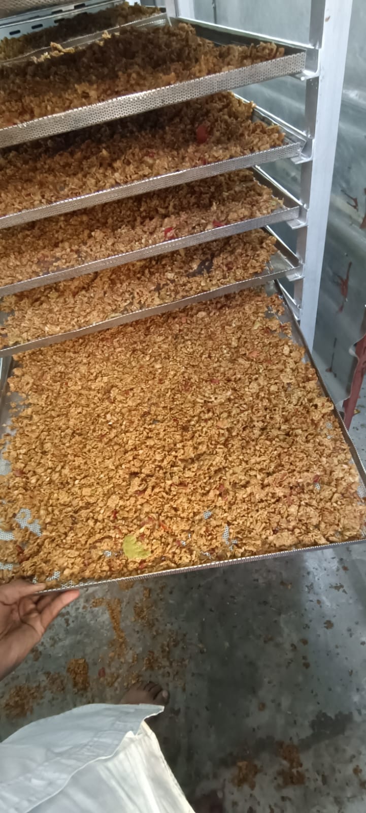 Apple pomace on drying trays