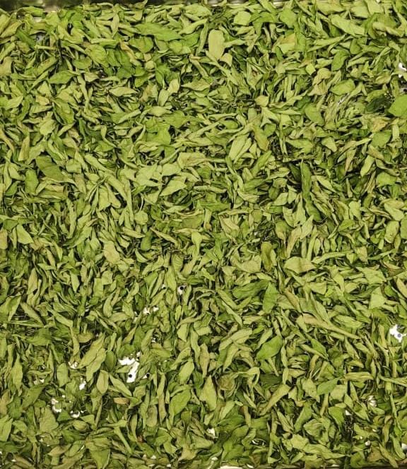 Dehydrated green produce